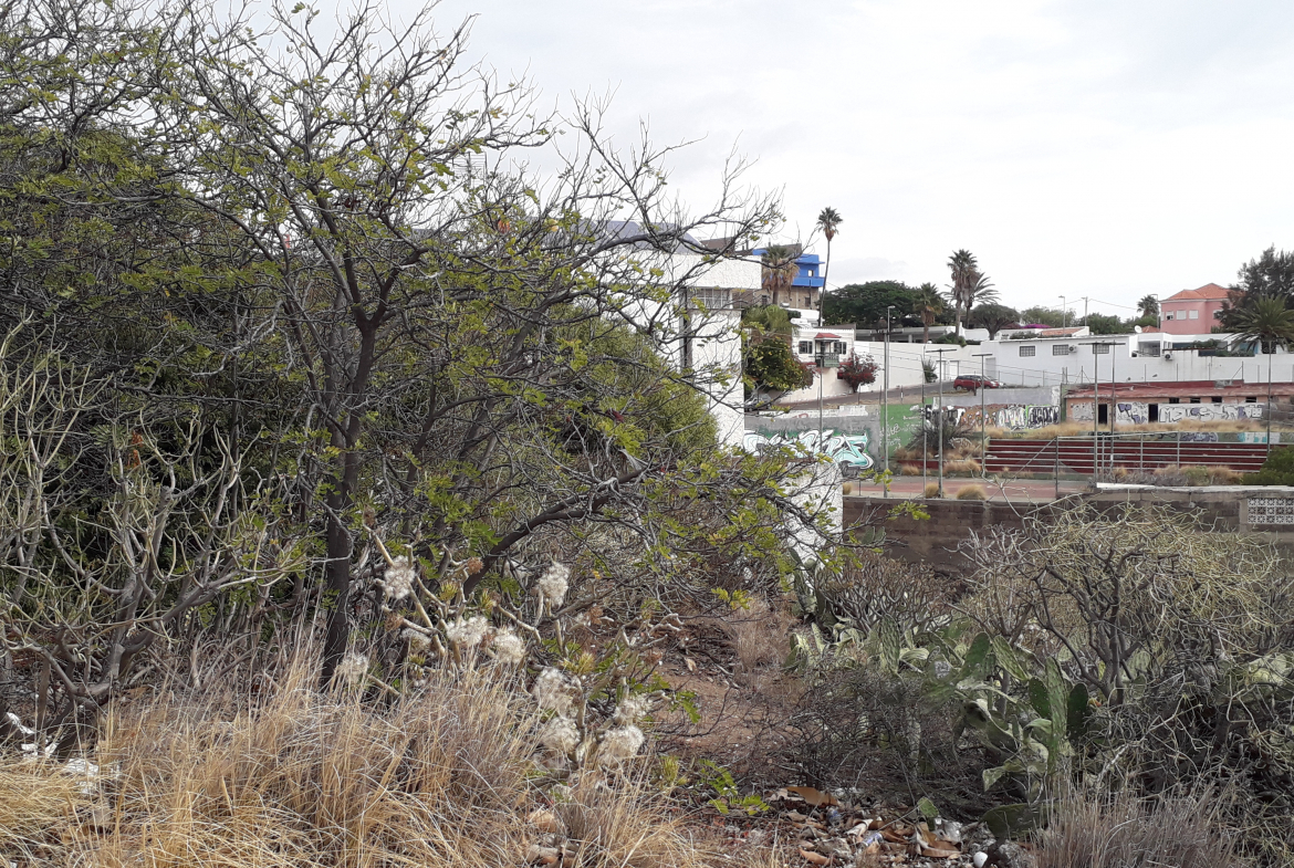 Inmobiliaria en Tenerife