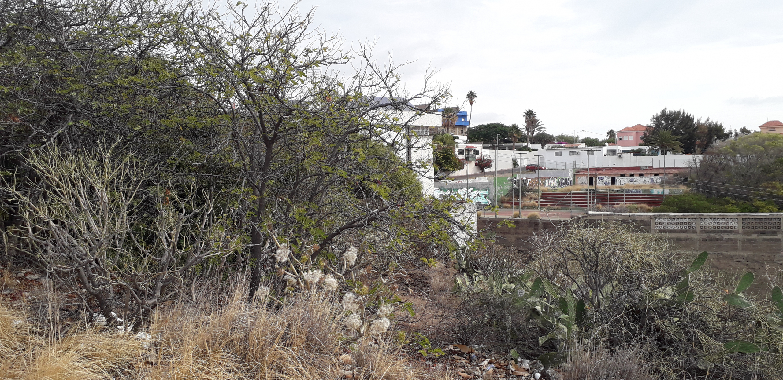 Inmobiliaria en Tenerife