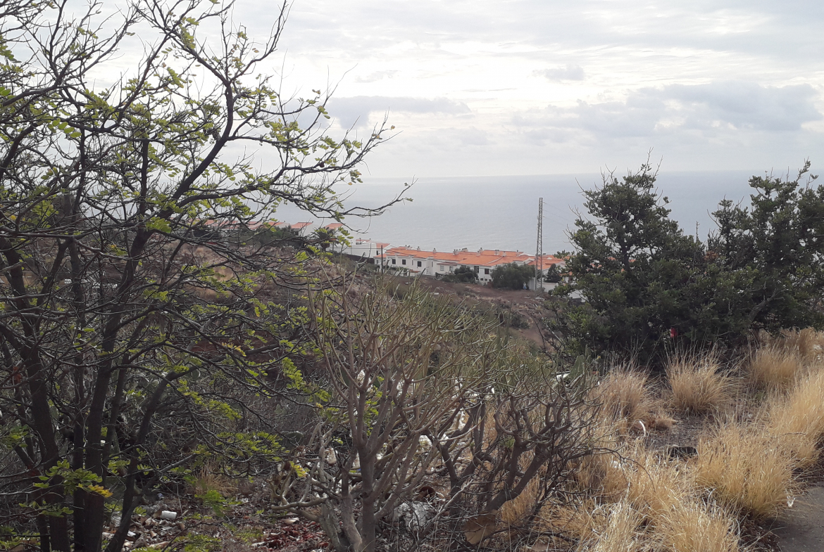 Inmobiliaria en Tenerife