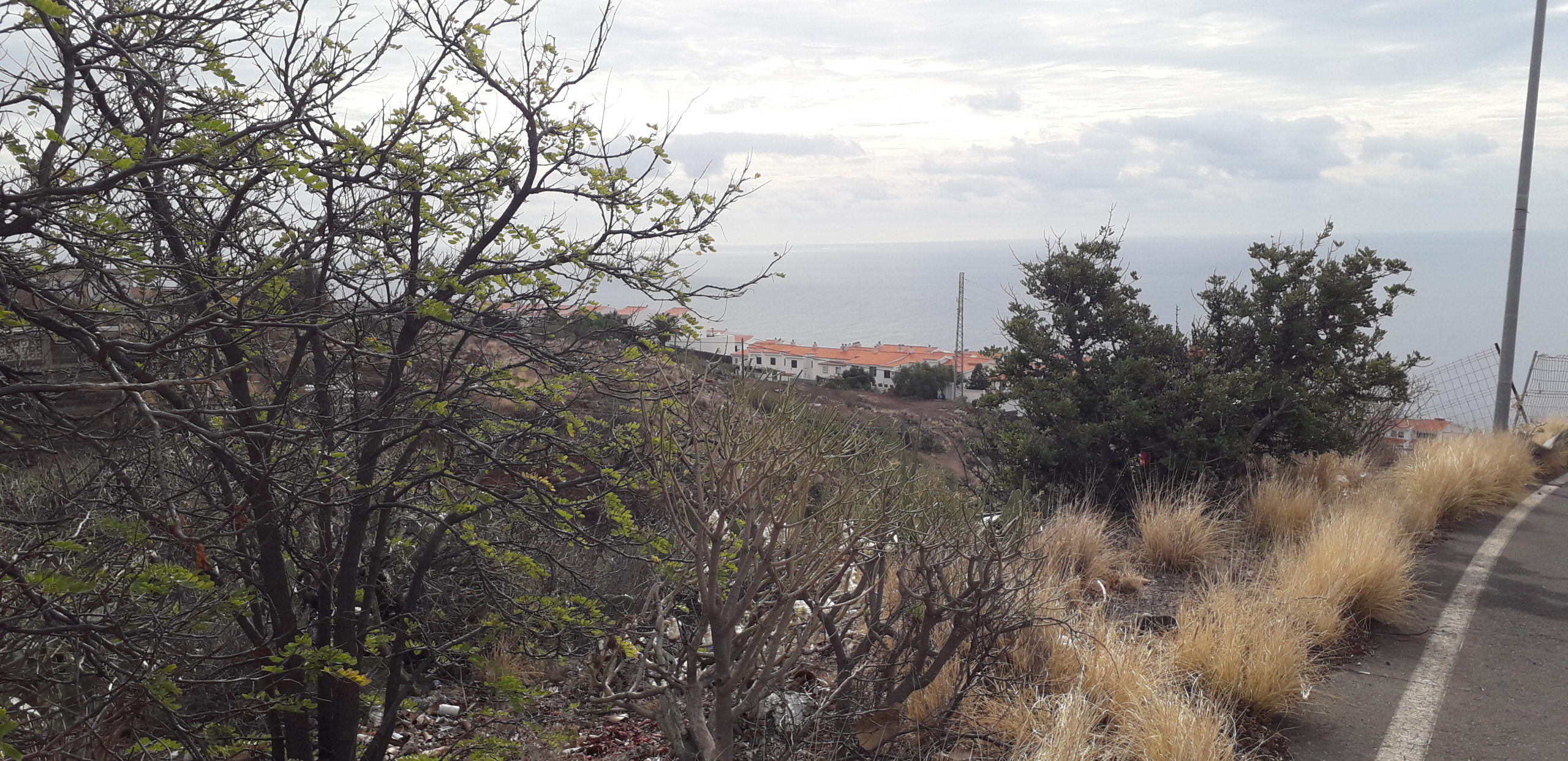 Inmobiliaria en Tenerife