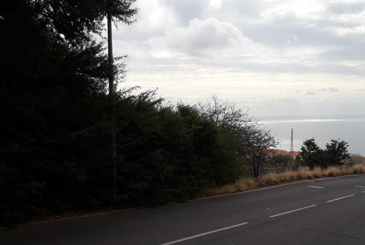 Inmobiliaria en Tenerife