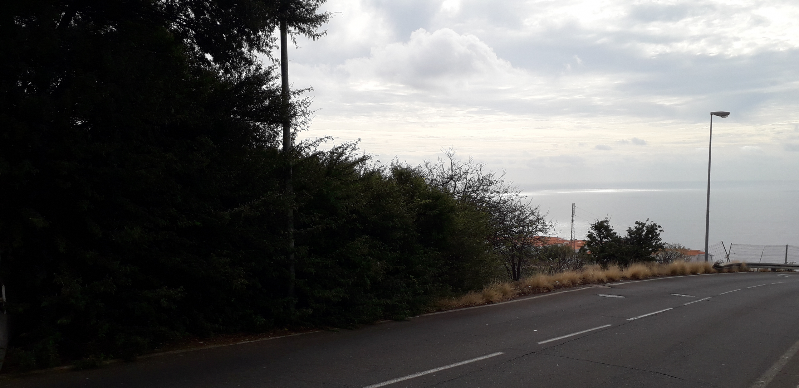 Inmobiliaria en Tenerife